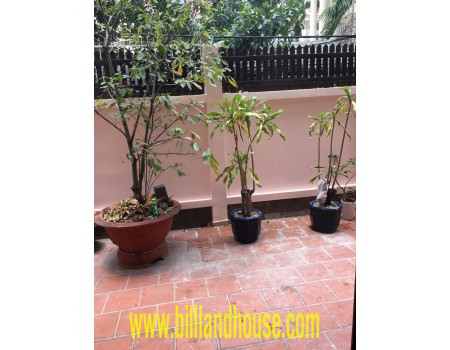 House 5 bedrooms, Thao Dien Dist 2